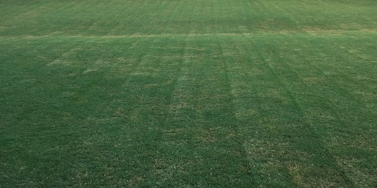 A beautifully cut large green field of grass with a horizontal valley in the middle.
