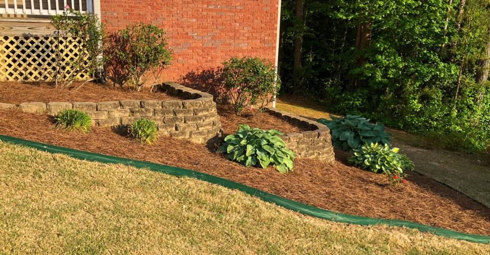 Pine Straw Landscaping Sloping pine straw landscaping bed with retaining walls and shrubs.