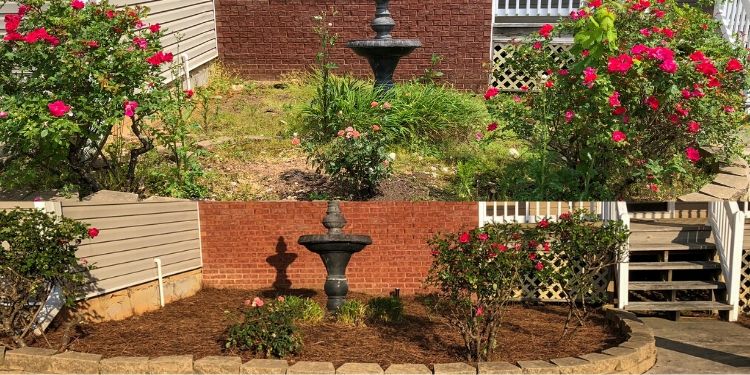 Before and after photo of water feature in landscaping bed with roses.