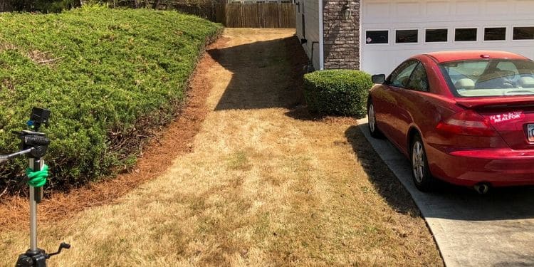 Landscape bed freshly mulched with pine needles in the spring.